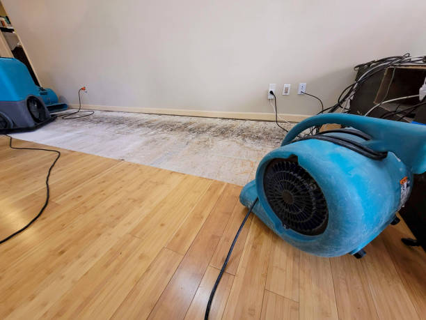 Professional Structural Drying technician working in Coal City, IL